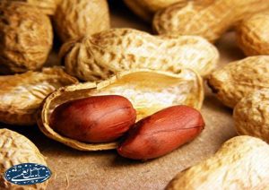 آجیل و خشکبار