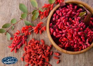 آجیل و خشکبار