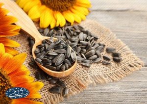 آجیل و خشکبار