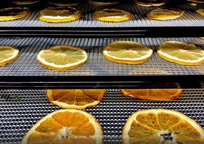 انواع میوه خشک کن صنعتی