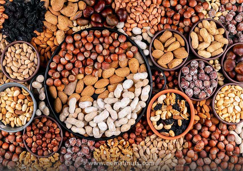 ویتامین E و خواص آجیل برای مو
