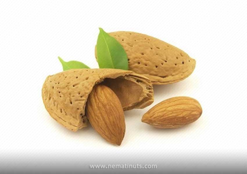 خواص بادام تلخ و روغن آن