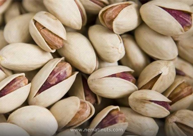 مشخصات پسته فندقی چیست