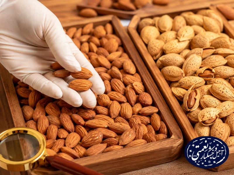 بادام زمینی، درختی و هندی با کیفیت